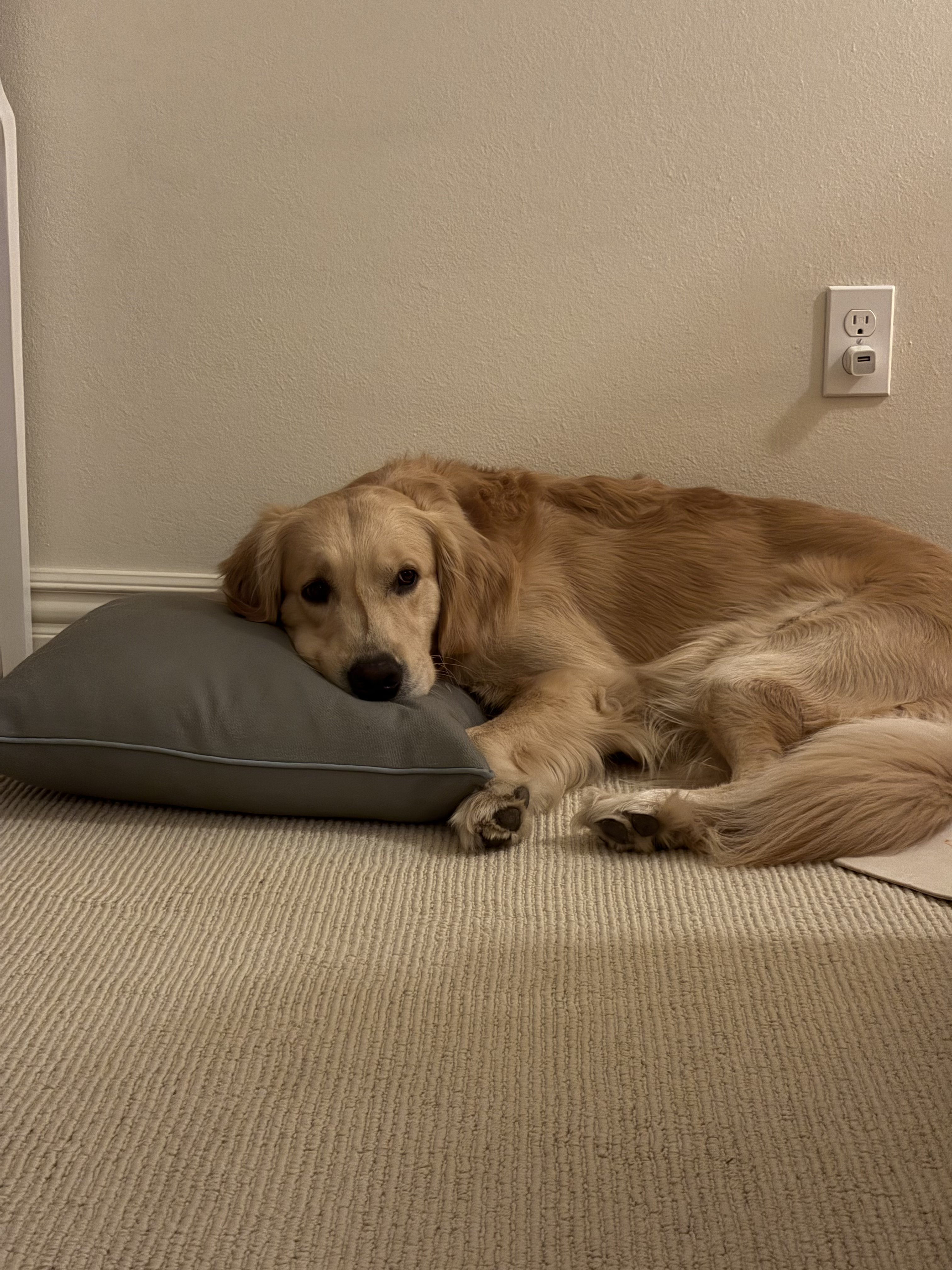 Chip on pillow