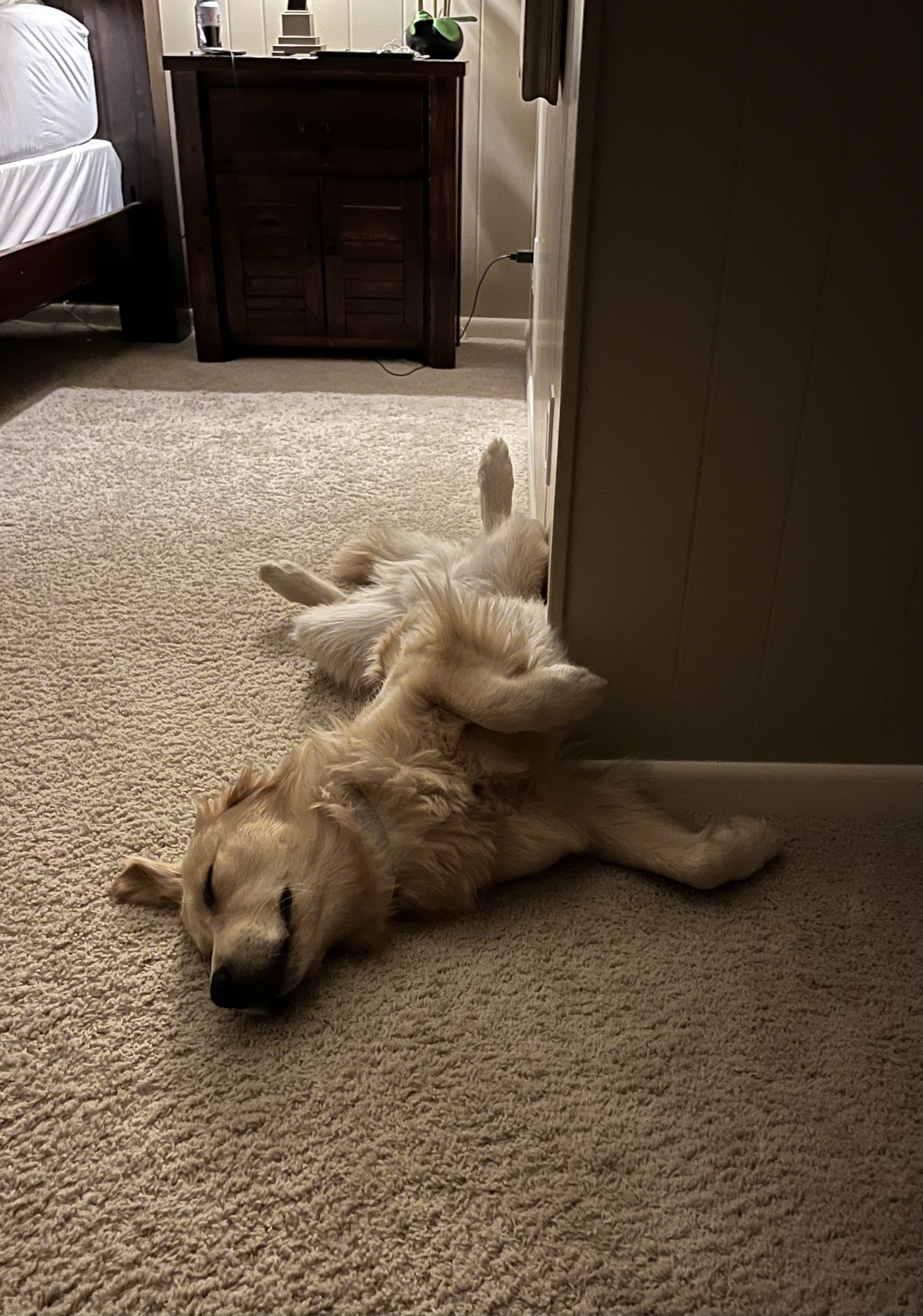 Sleepy